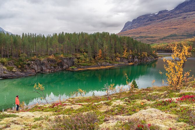 Explore the Norwegian Fjords and the Wildlife From Abisko - Weather can improve or cancel the day