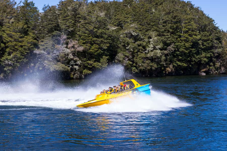 Fiordland: Jet Boat & Nature Walk Experience from Te Anau - Key points to know before booking
