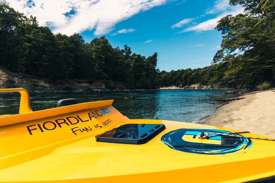 Fiordland: Jet Boat & Nature Walk Experience from Te Anau - Trout, beech forest, and Fiordland stories