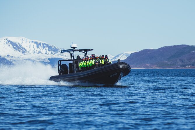 Fjord and Sea Eagle Safari from Sortland - Meeting at Havnegata 3 in Sortland