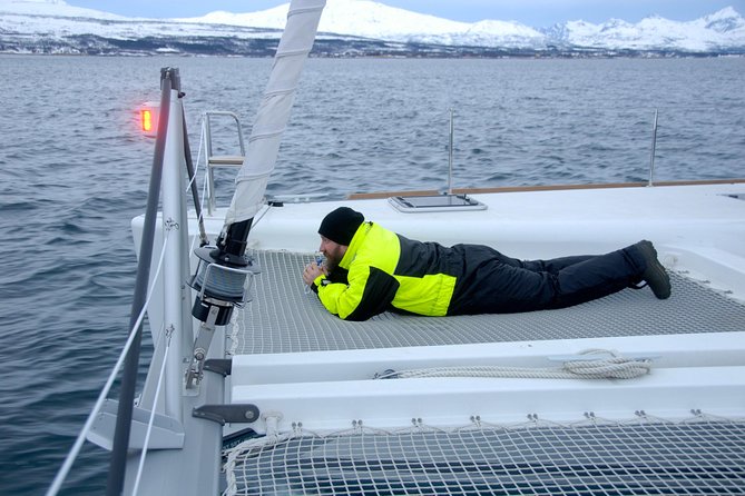 Fjord Cruise with Luxury Catamaran in Tromso - A guide who adds more than directions