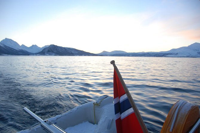 Fjord Cruise with Luxury Catamaran in Tromso - Who should book this outing?