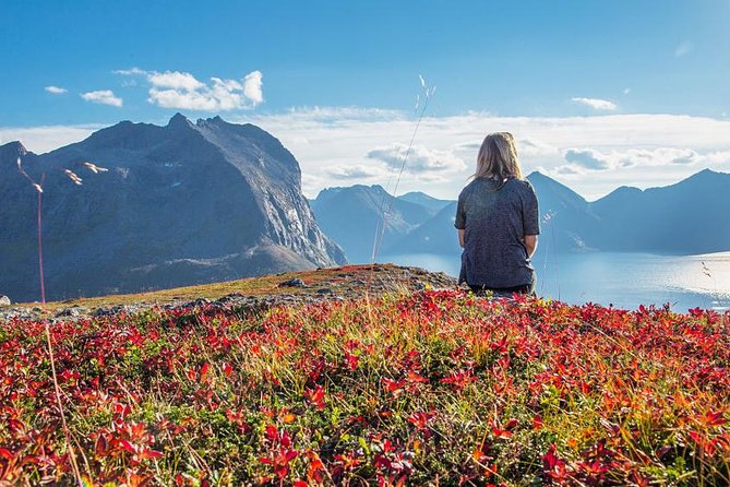 Fjord Expedition: Arctic Adventure Awaits - Food, drinks, and the value of the $145.76 price