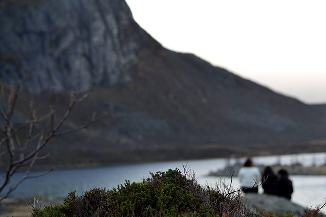Fjord Expedition: Arctic Adventure Awaits - Who will enjoy this Tromsø excursion most