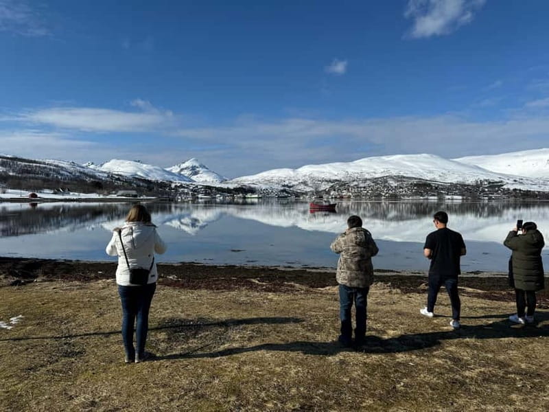 Fjord Foto Tour to Sommaroy (Roadtrip) - Watching for Arctic wildlife