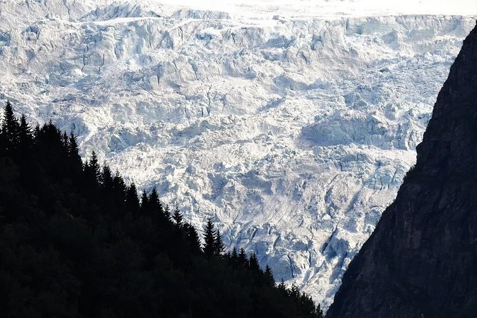 Fjord & Glacier Tour - From VOSS - Key points at a glance