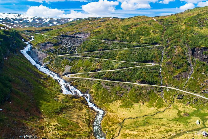Fjord & Glacier Tour - From VOSS - Who will enjoy this Voss excursion