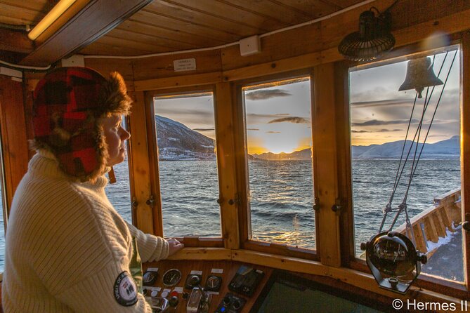Fjord & History Cruise - Passing beneath the view of Tromsø Bridge