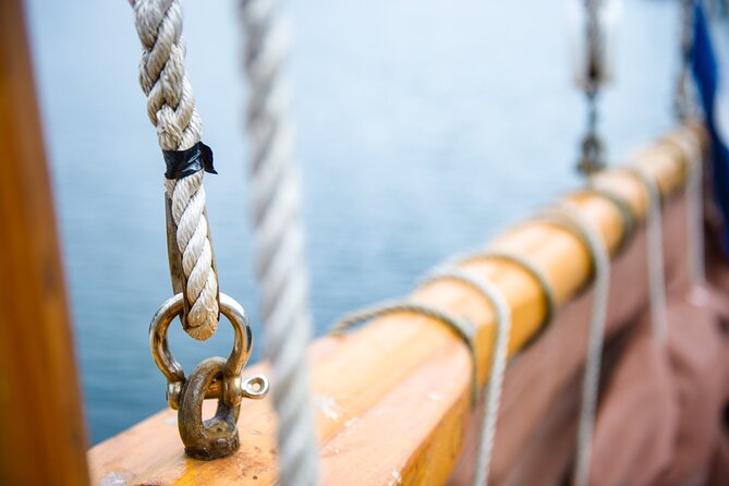 Fjord & History Cruise - Stories, wildlife, and the local setting