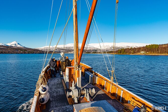Fjord & History Cruise - Tromsø seen from the sea