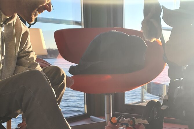 Fjord Houseboat Cruise in Oslo. 100 % electric. BYO - First views: the sculpture park and residential shore