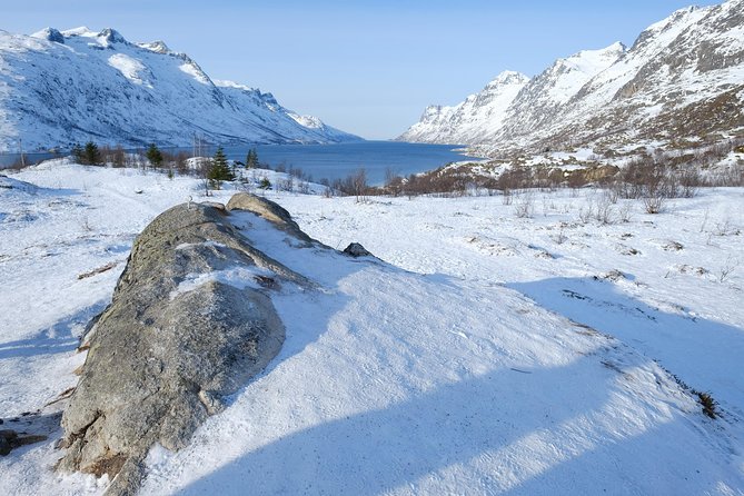Fjord, Mountain and Wildlife Tour - Leaving Tromso for Kvaløysletta
