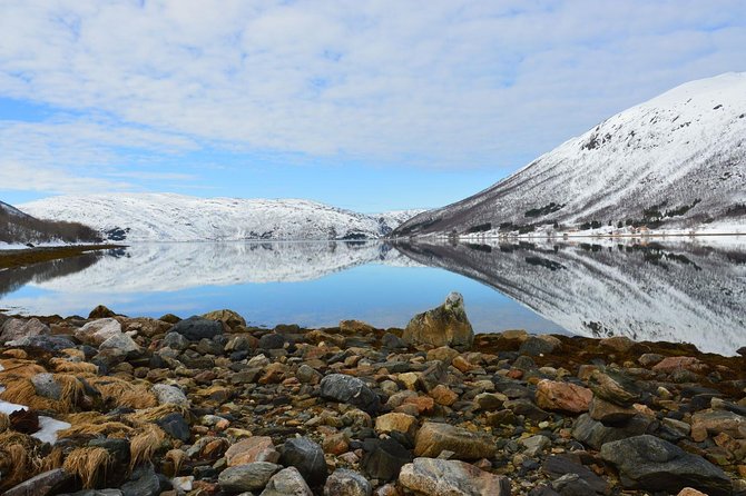 Fjord, Mountain and Wildlife Tour - Grøtfjord village and the fjord itself