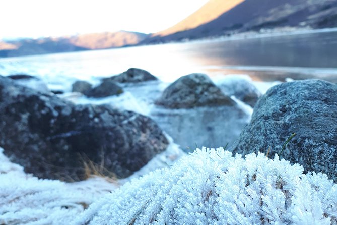 Fjord, Mountain and Wildlife Tour - Reindeer, seals, and realistic wildlife expectations