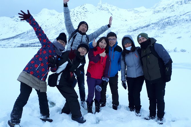 Fjord, Mountain and Wildlife Tour - What the minibus is really like