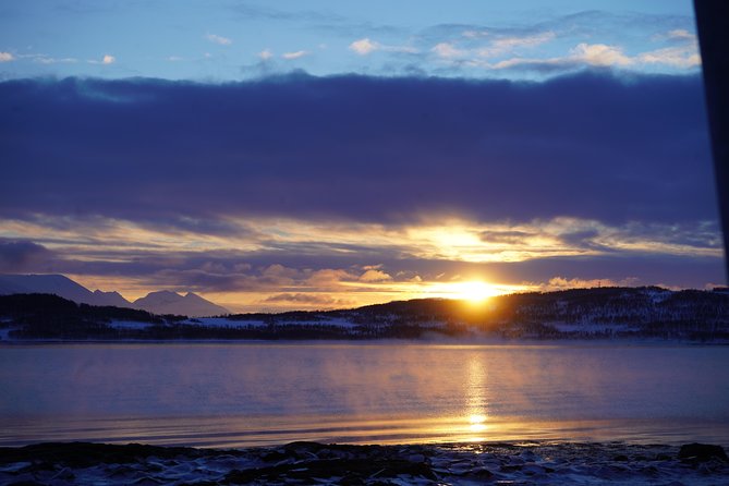 Fjord, Mountain and Wildlife Tour - Winter clothing, food, and comfort