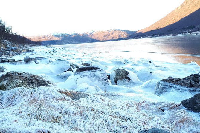Fjord, Mountain and Wildlife Tour - How weather changes the experience