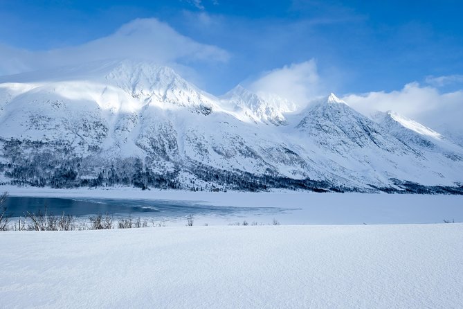 Fjord, Mountain and Wildlife Tour - Kaldfjord and the changing Arctic light