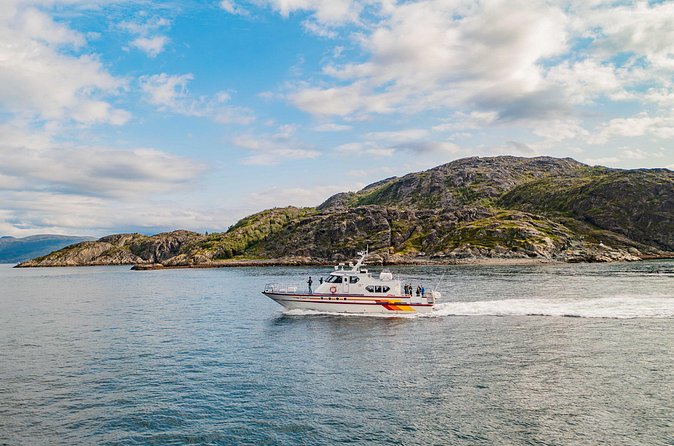Fjord Safari in the Altafjord - Looking for birds, dolphins, and other wildlife
