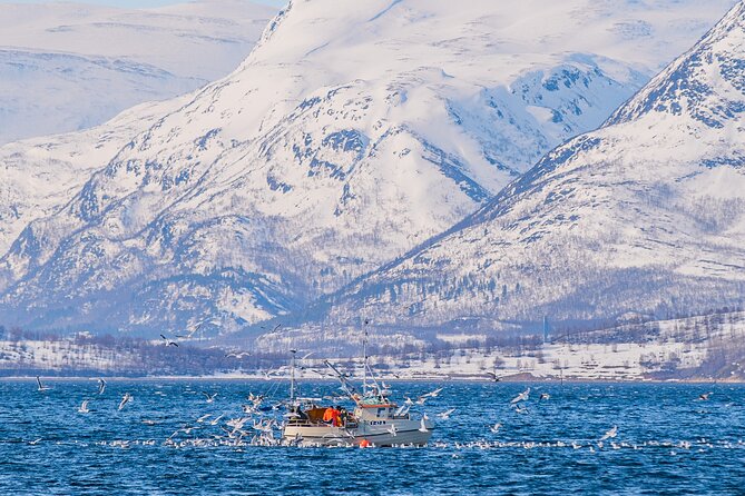 Fjord Safari in the Altafjord - Who will enjoy this boat safari most?