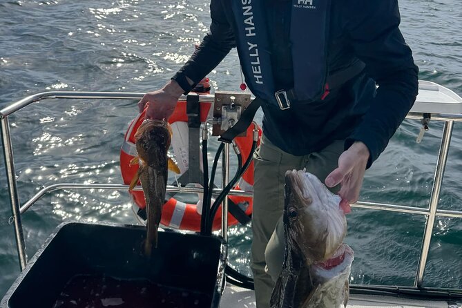 Fjord Sea Safari with Fishing from Bergen - Fishing from a Viknes 1030, not just sightseeing