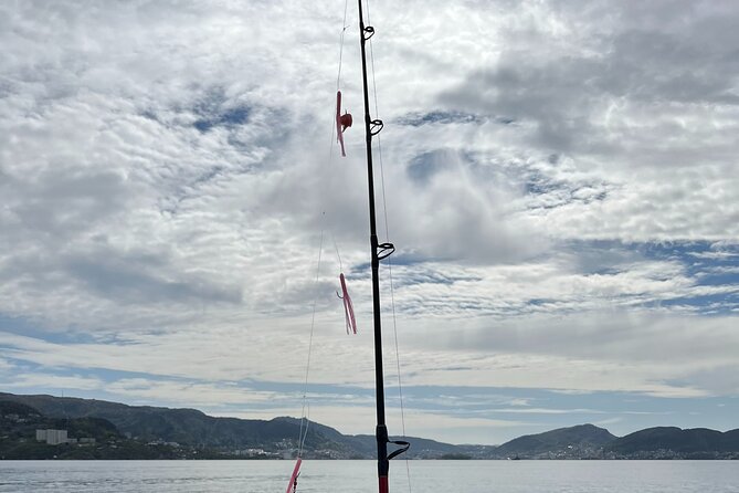 Fjord Sea Safari with Fishing from Bergen - Who will enjoy this most