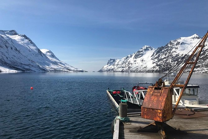 Fjord Sightseeing - Eco friendly Tesla Model X - Key points at a glance