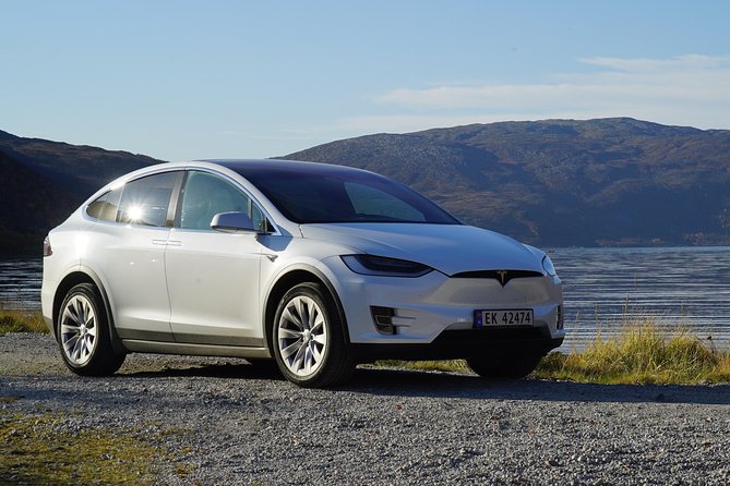 Fjord Sightseeing - Eco friendly Tesla Model X - What the fjord stops are like