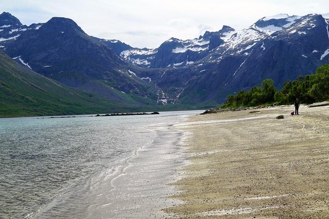 Fjord Sightseeing - Eco friendly Tesla Model X - The guide and the private-tour feel