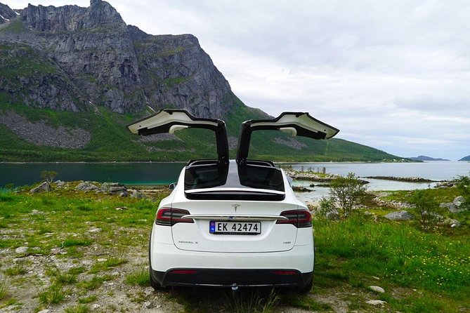 Fjord Sightseeing - Eco friendly Tesla Model X - Price and value at $171.16 per person