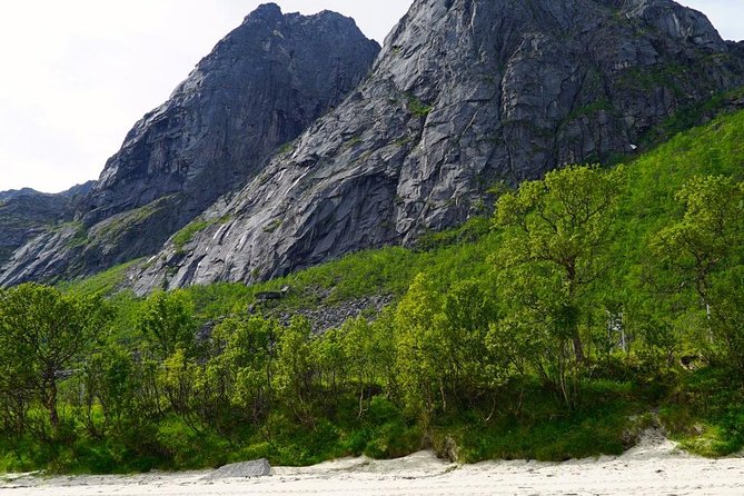 Fjord Sightseeing - Eco friendly Tesla Model X - Aurora Borealis expectations