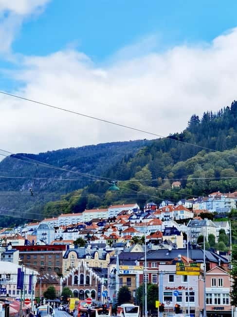 Flexible tour to Hardangerfjord vøringsfossen cruise include - What the private car and guide change