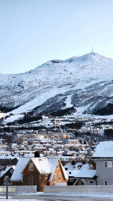 From Abisko: Narvik City and Fjord Day Trip - Key points at a glance