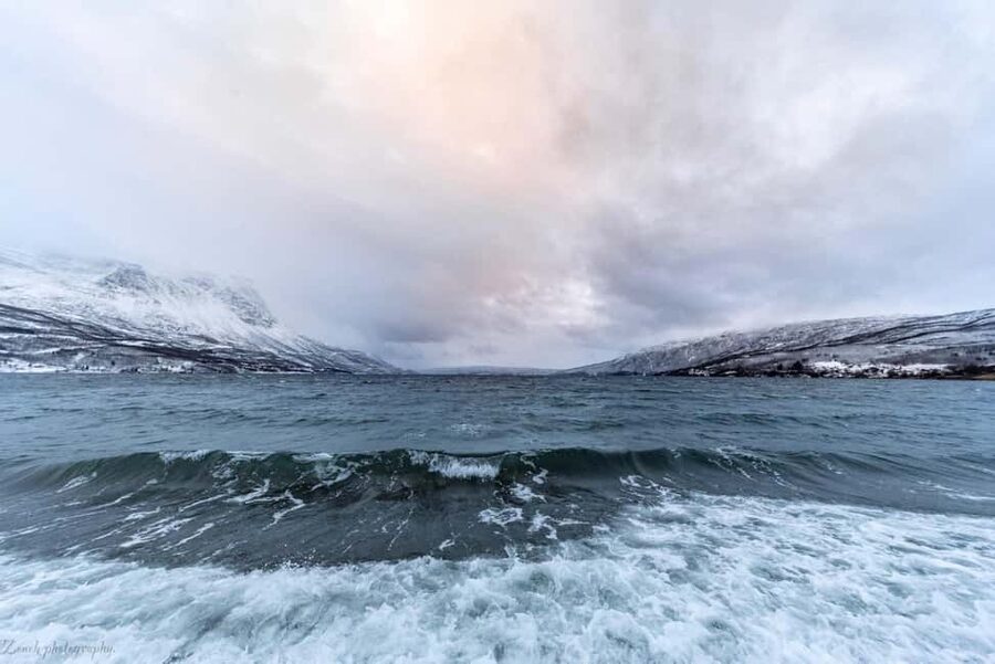 From Abisko: Narvik City and Fjord Day Trip - The return route adds value