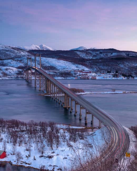 From Abisko: Narvik City and Fjord Day Trip - Guides, vehicles, and the feel of a small group