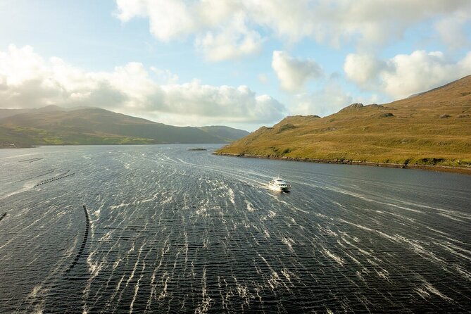 From Dublin: Kylemore Abbey, Connemara, Killary Fjord & Galway - Who will enjoy this day trip most