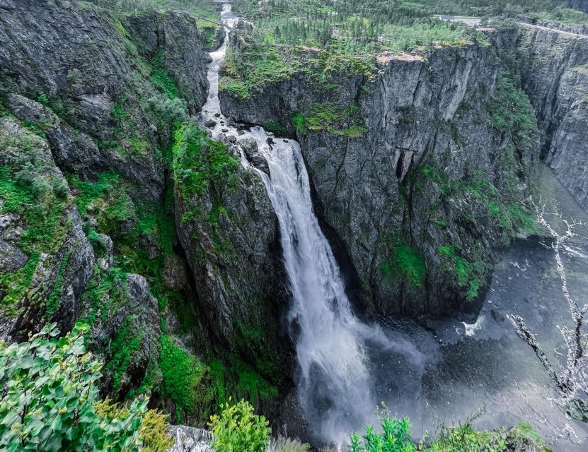 From Eidfjord: Vøringfossen Waterfall Nature Tour with Guide - Hardangervidda’s open mountain plateau