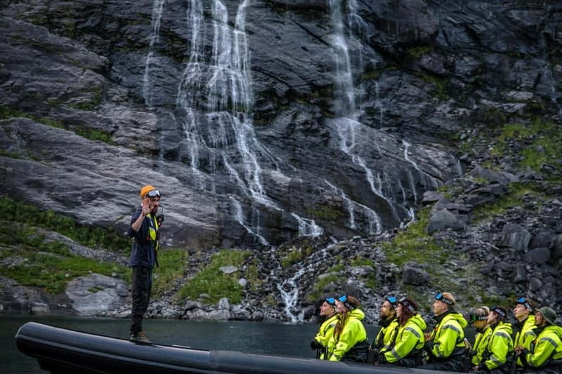 From Hellesylt: Experience Fjordsafari Geirangerfjord on RIB - What the one-hour schedule really feels like