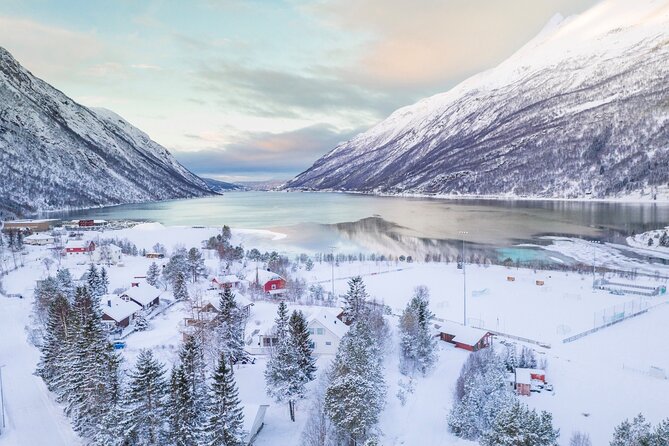 From Kiruna: Narvik City and Fjord Day Trip - Key points to know before you book