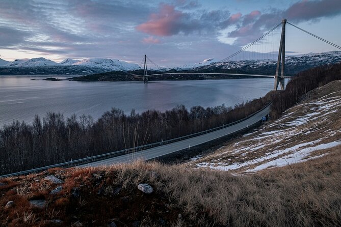 From Kiruna: Narvik City and Fjord Day Trip - Narvik viewpoints and your lunch break