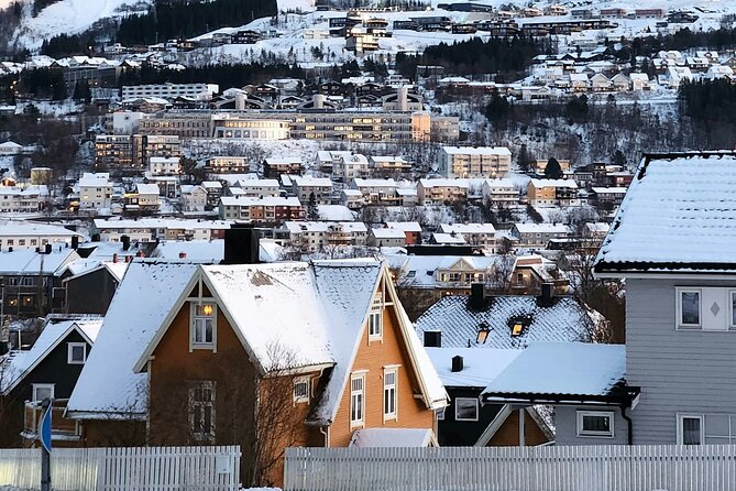 From Kiruna: Narvik City and Fjord Day Trip - Returning across Sweden’s scenic bridge