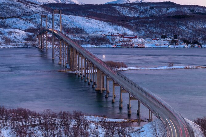 From Kiruna: Narvik City and Fjord Day Trip - What the small group changes