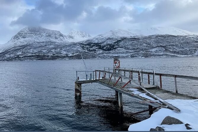 From Kiruna: Narvik City and Fjord Day Trip - Is $229.50 a fair price?