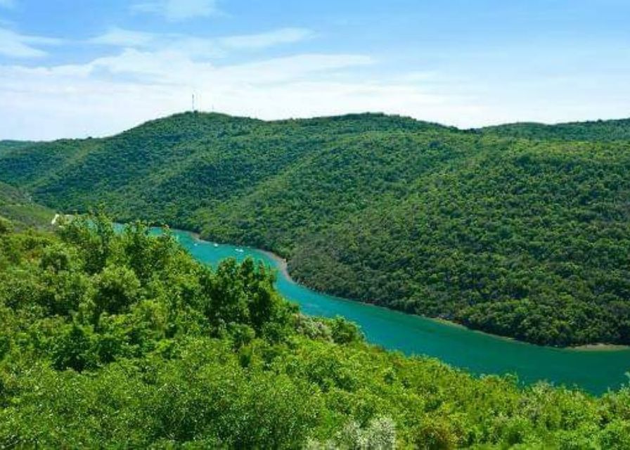 From Poreč: Lim Fjord, Rovinj, and Vrsar Boat Trip - How much value you get for $47