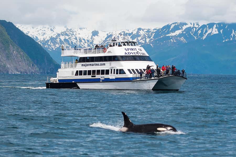 From Seward: Kenai Fjords National Park Cruise with Lunch - Key points to know before you book