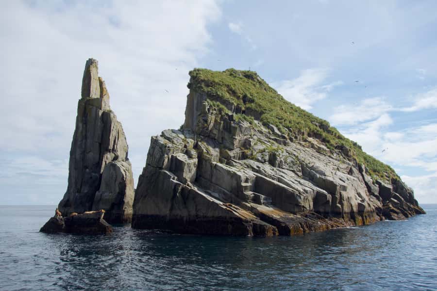 From Seward: Kenai Fjords National Park Cruise with Lunch - Why this Seward cruise is worth a full day