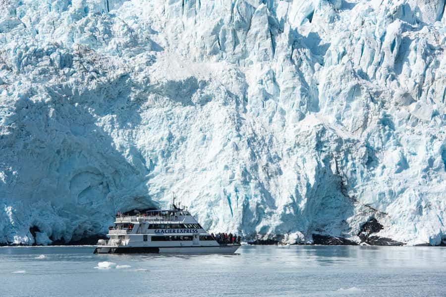 From Seward: Kenai Fjords National Park Cruise with Lunch - Starting at Harbor 360 Hotel in Seward