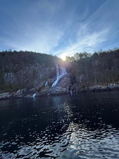 From Stavanger: Lysefjorden & Pulpit Rock Safari by RIB - The goat farm finale