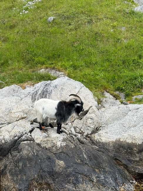 From Stavanger: Lysefjorden & Pulpit Rock Safari by RIB - Getting suited up at Strandkaien 34