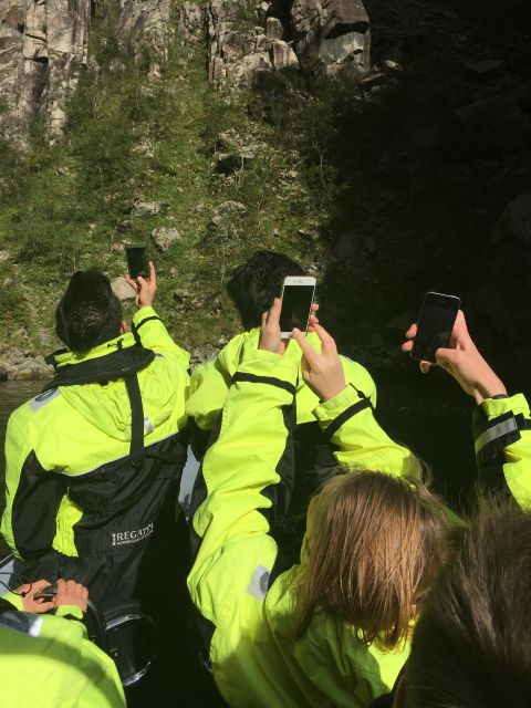From Stavanger: RIB Tour to Lysefjord - Wildlife is possible, but not promised
